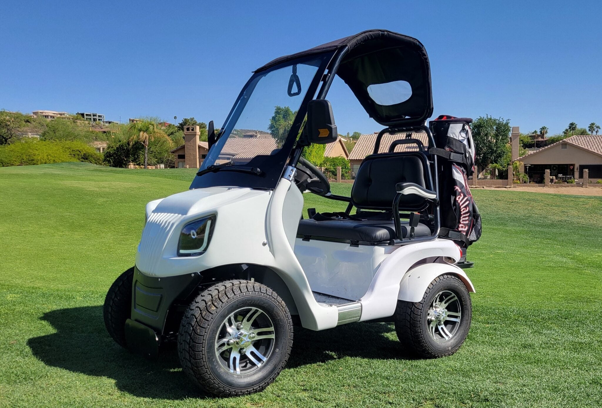 Electric Golf Kart