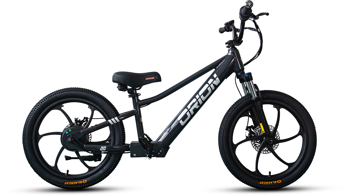 electric balance bike for kids 