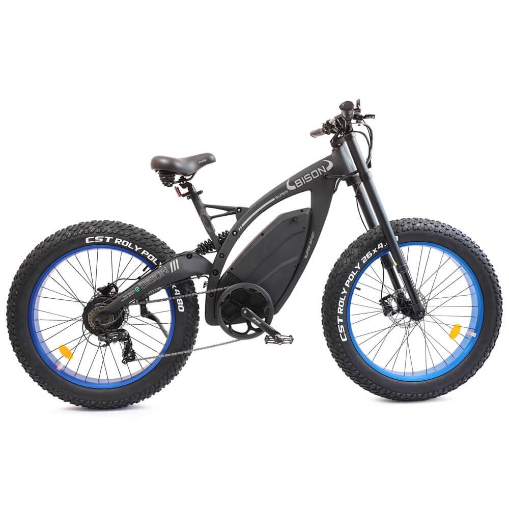 Ecotric1000W big fat tire ebike Bison-Matte Black